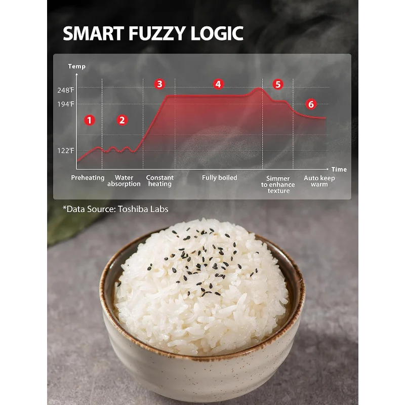 Rice Cooker Induction Heating