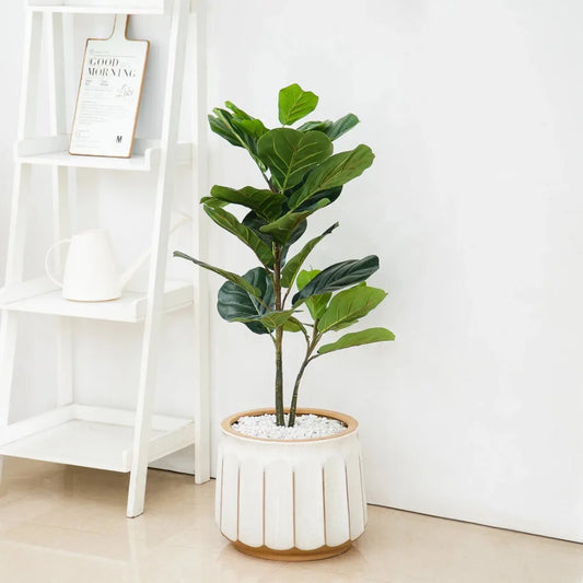 Ceramic Striped Seasons Gloworm Plant Planter